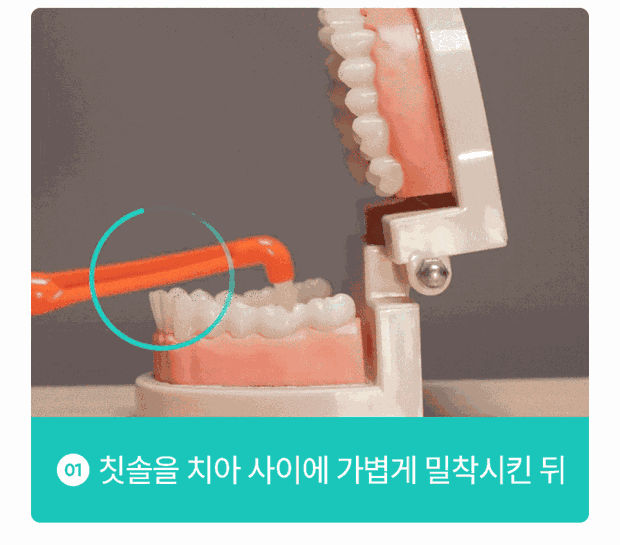 블로그 관련 이미지
